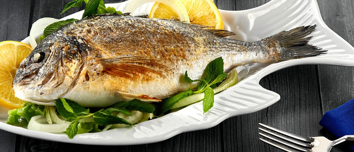 Evren Melamin ve Plastik